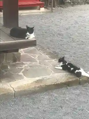 北野神社の動物