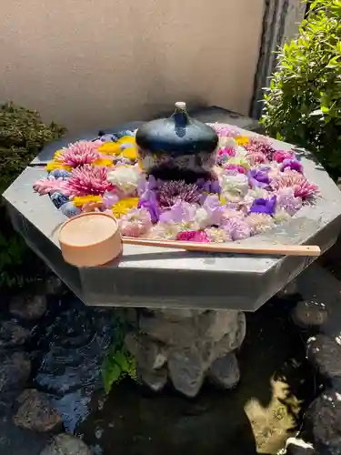 神楽坂安養寺(東京都)