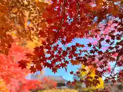 眞田神社(長野県)