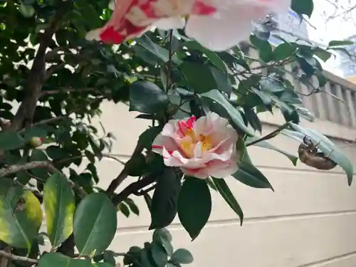 難波神社(大阪府)