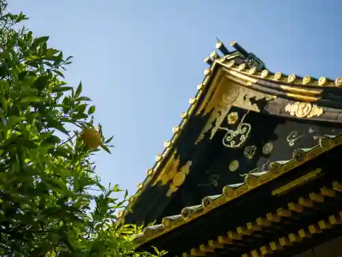 上野東照宮(東京都)