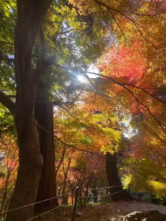 普門寺(切り絵御朱印発祥の寺)(愛知県)