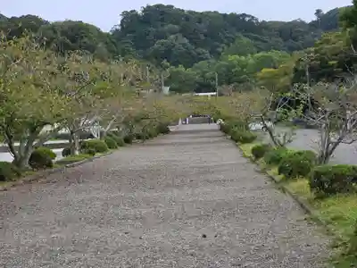 安房神社(千葉県)