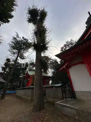 小野神社(東京都)