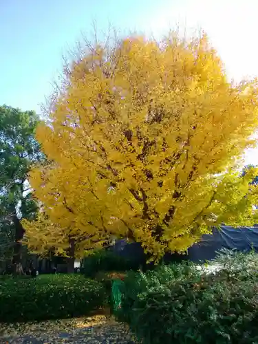 五條天神社(東京都)