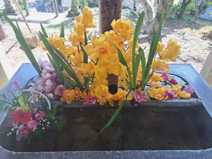 坂本八幡神社(徳島県)