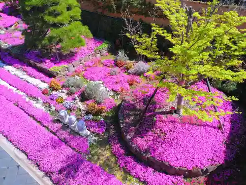 寿量山　速成寺の庭園