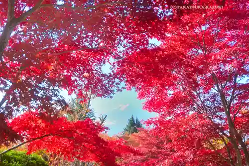 新倉富士浅間神社(山梨県)