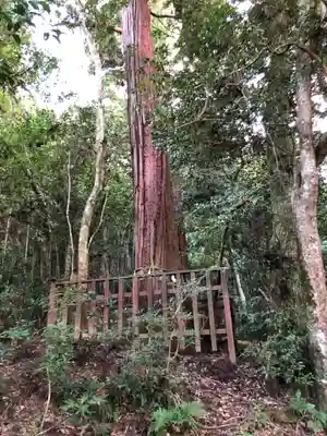 八重垣神社のその他建物