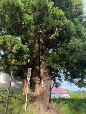岩木山神社(青森県)