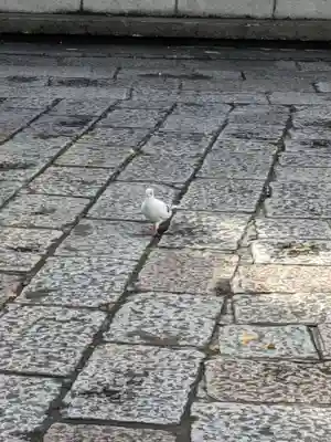 本覚寺(東京都)