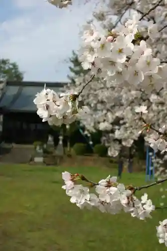 琵琶神社の自然
