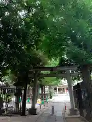 白山神社の鳥居