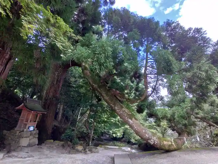 日吉大社(滋賀県)
