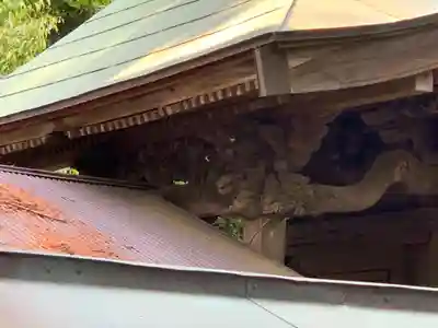 大棟梁大神(千葉県)