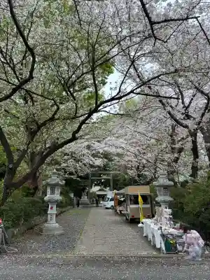 前鳥神社の{uncategorized: "未分類", other: "その他", undefined: "問題あり", building: "その他建物", grave: "お墓", sacred_gate: "鳥居", guardian: "狛犬", statue: "像", buddha: "仏像", history: "歴史", nature: "自然", garden: "庭園", animal: "動物", pagoda: "塔", temizu: "手水舎", mountain_gate: "山門・神門", sanctuary: "本殿・本堂", subordinate: "末社・摂社", art: "芸術", scenery: "景色", jizo: "地蔵", ema: "絵馬", goshuin: "御朱印", omikuji: "おみくじ", items: "授与品その他", amulet: "お守り", goshuincho: "御朱印帳", eats: "食事", festival: "お祭り", votive_dance: "神楽", shichigosan: "七五三参", wedding: "結婚式", experience: "体験その他", initially: "初詣", around: "周辺", anti_infection: "感染症対策"}