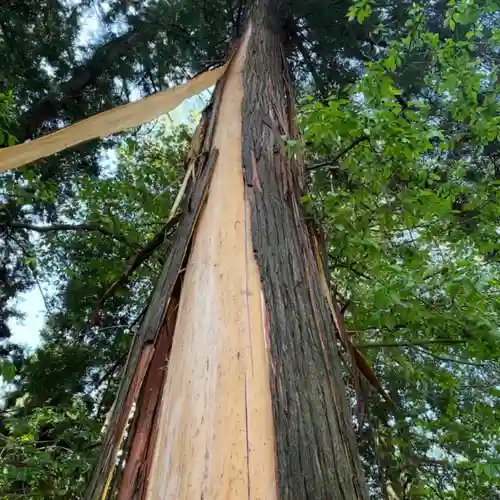 蚊里田八幡宮(長野県)