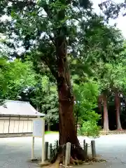 於呂神社の自然