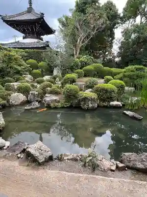 穴太寺(京都府)