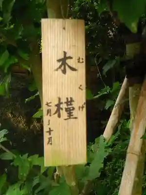 長谷寺のその他建物