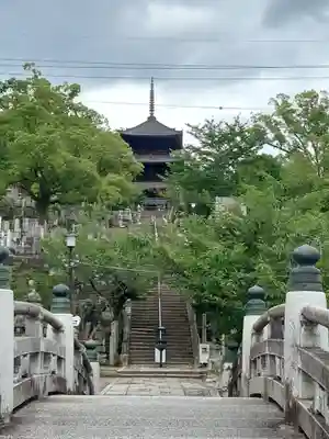 くろ谷 金戒光明寺(京都府)