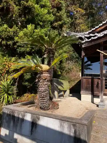 貴布禰神社の自然