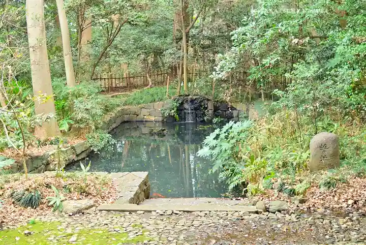 武蔵一宮氷川神社(埼玉県)