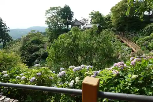 善峯寺の庭園