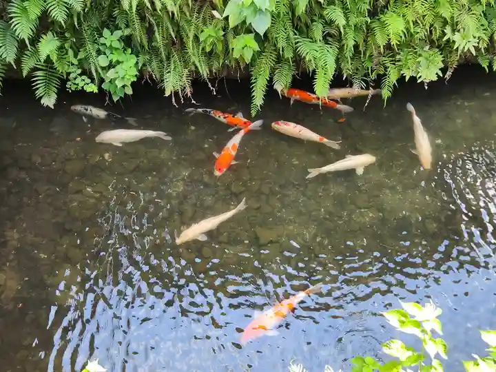 臼杵石仏の動物