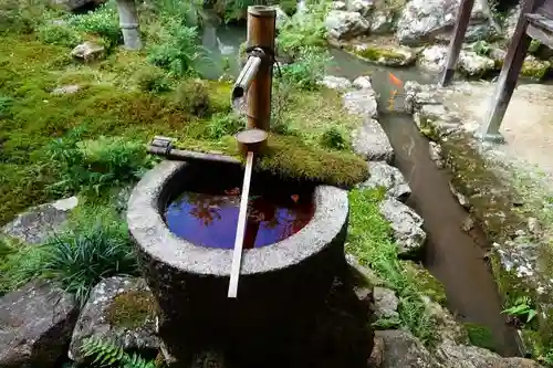 柳谷観音　楊谷寺の手水舎