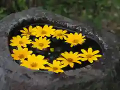 今市報徳二宮神社の手水