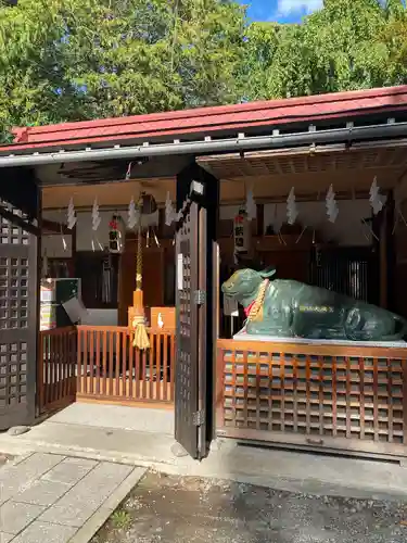 新琴似神社(北海道)