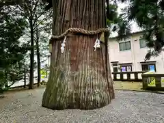 飛騨一宮水無神社(岐阜県)