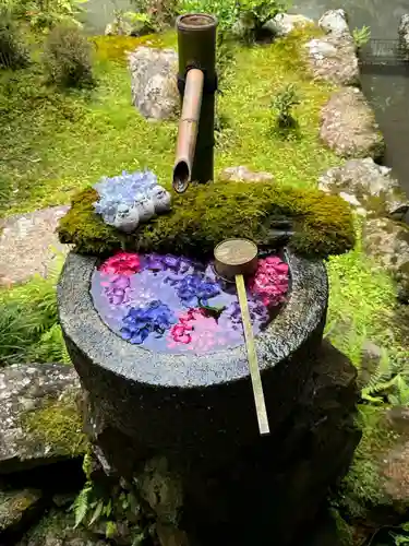 柳谷観音　楊谷寺(京都府)