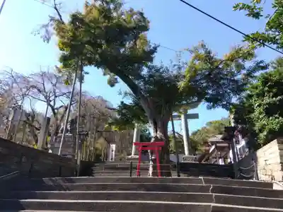 足羽神社(福井県)