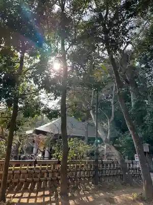 深大寺(東京都)