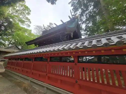 伊豫稲荷神社(愛媛県)