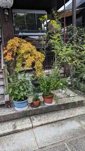 行願寺（革堂）(京都府)