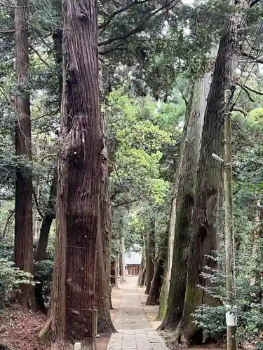 日吉神社(千葉県)