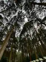 瀧樹神社(滋賀県)