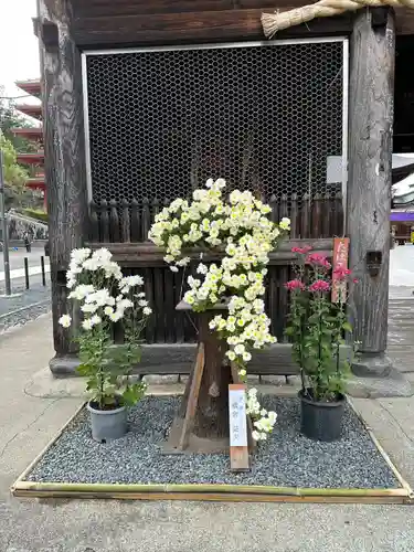 高幡不動尊　金剛寺(東京都)