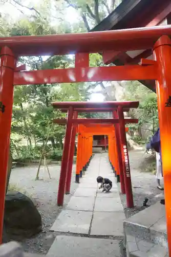 來宮神社の鳥居