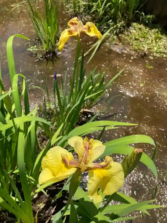 天台宗 長窪山 正覚寺の庭園