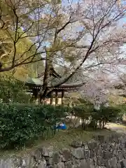 総見寺の自然