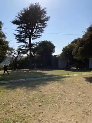 厳島神社(神奈川県)