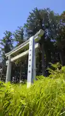 日枝神社の鳥居