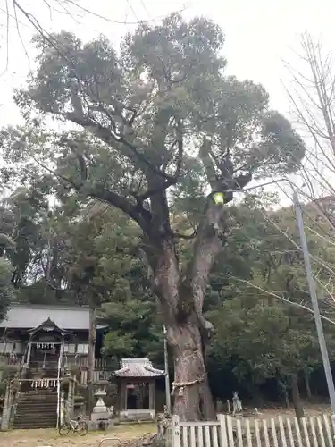 敷島神社(徳島県)