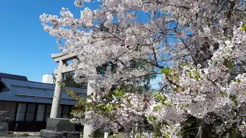 住吉神社の自然