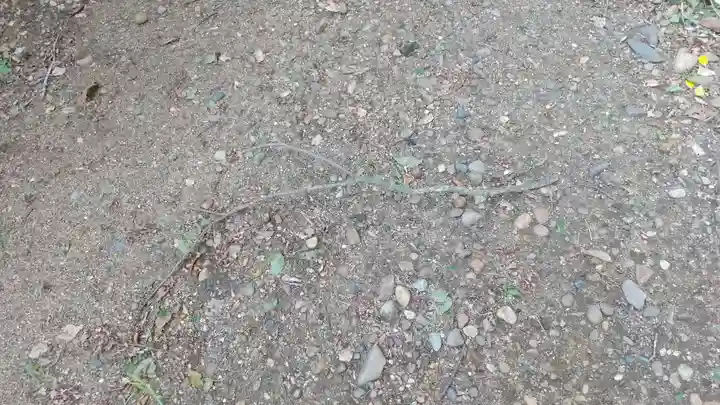 酒門神社(茨城県)