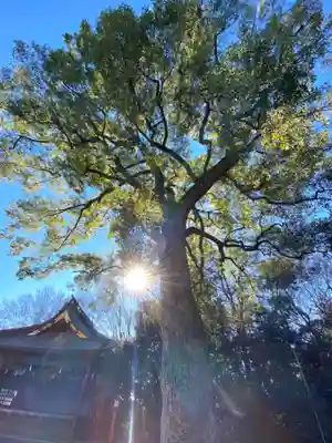 鷲宮神社のその他建物